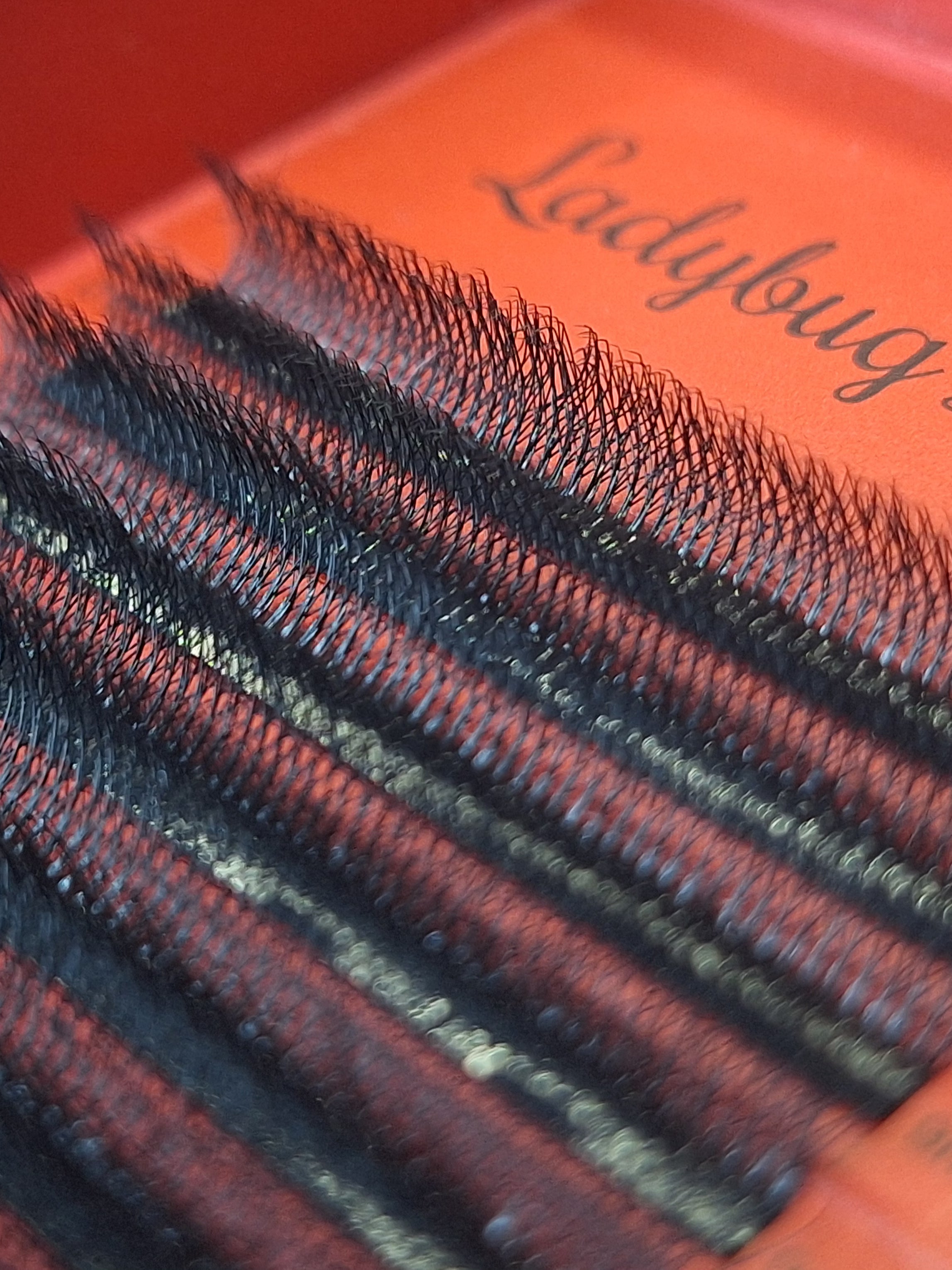 8D Clover Lashes 16 row mixed tray