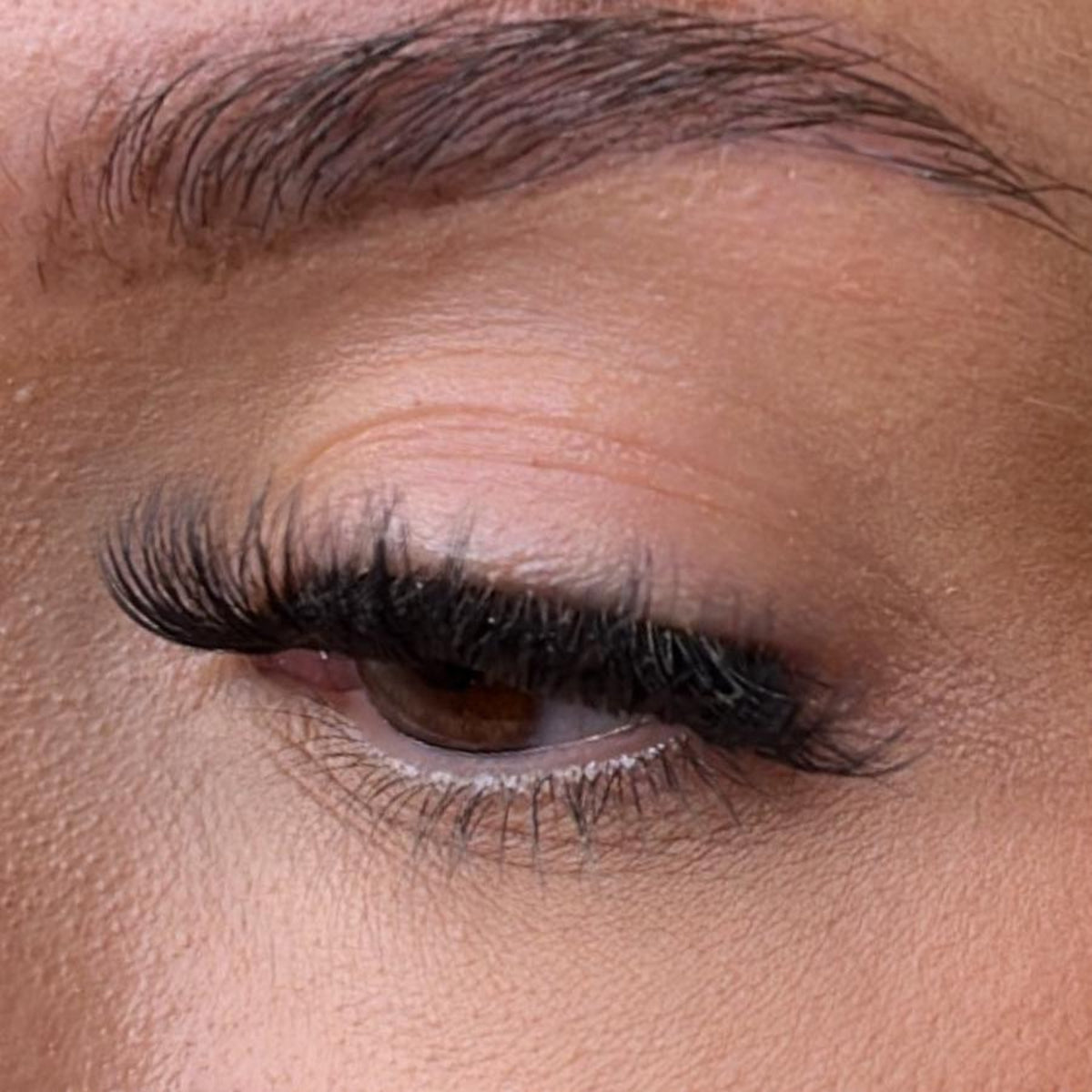 Lash Ribbons Una NEW Pre-Glued Lash Clusters – product image 5