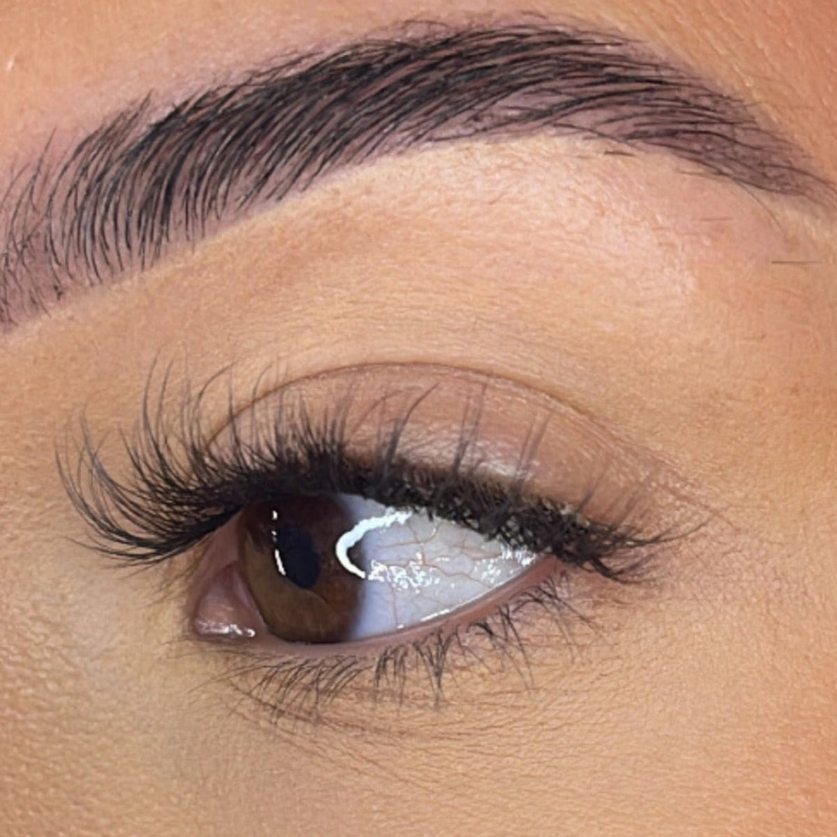 Lash Ribbons Ava Pre-Glued DIY Lash Clusters – product image 5