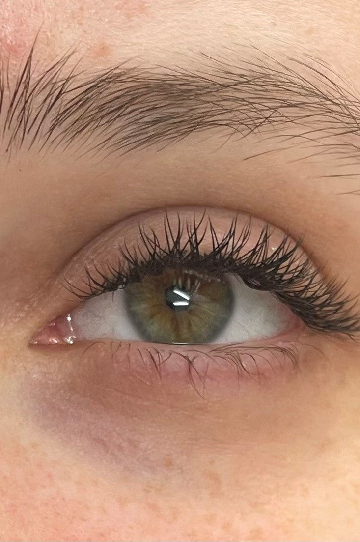 ladybuglashes lashglue lashtrays lashadhesive glueretention cloverlashes wlashes yylashes premades promades lashes