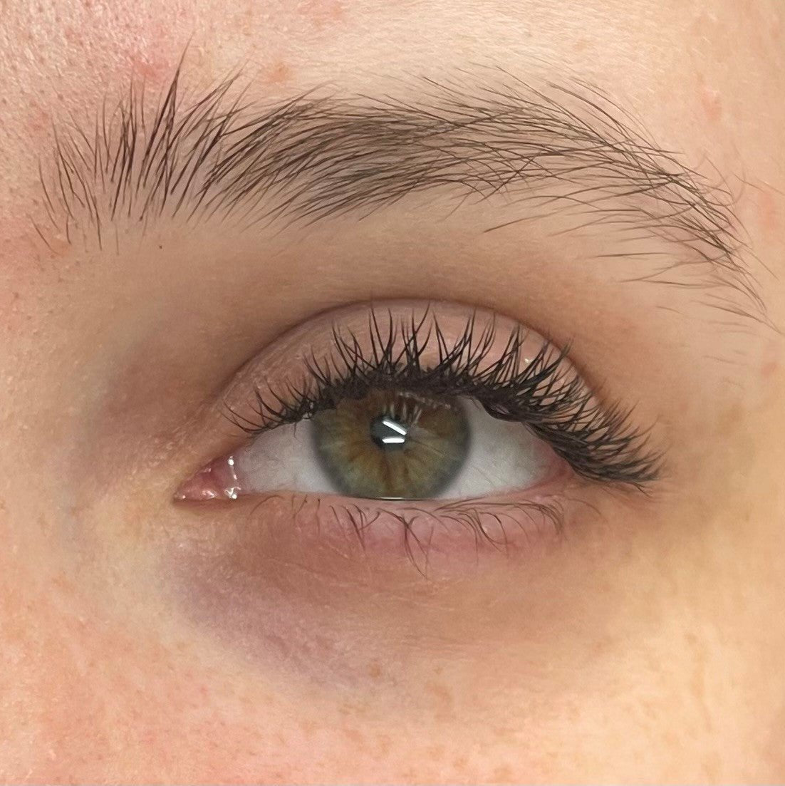 ladybuglashes lashglue lashtrays lashadhesive glueretention cloverlashes wlashes yylashes premades promades lashes