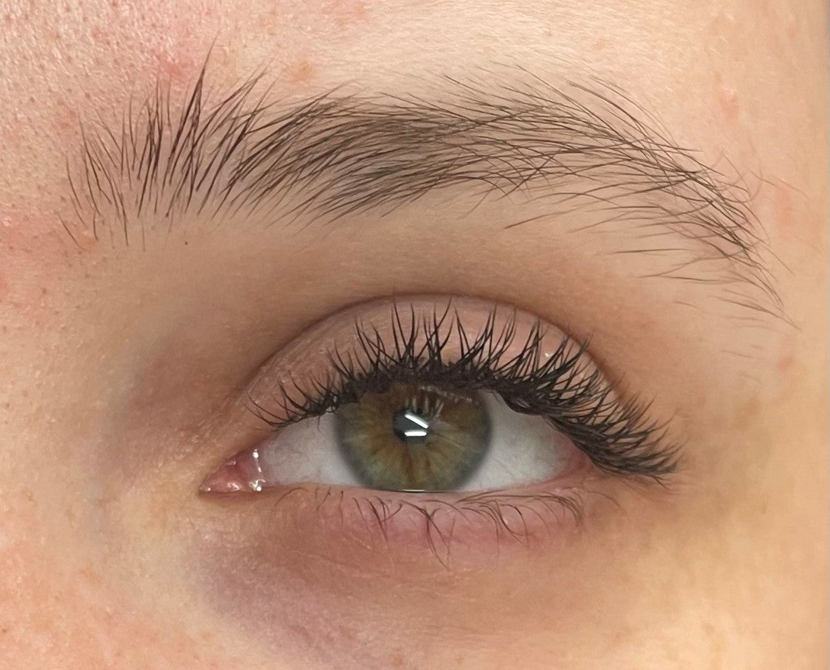 ladybuglashes lashglue lashtrays lashadhesive glueretention cloverlashes wlashes yylashes premades promades lashes