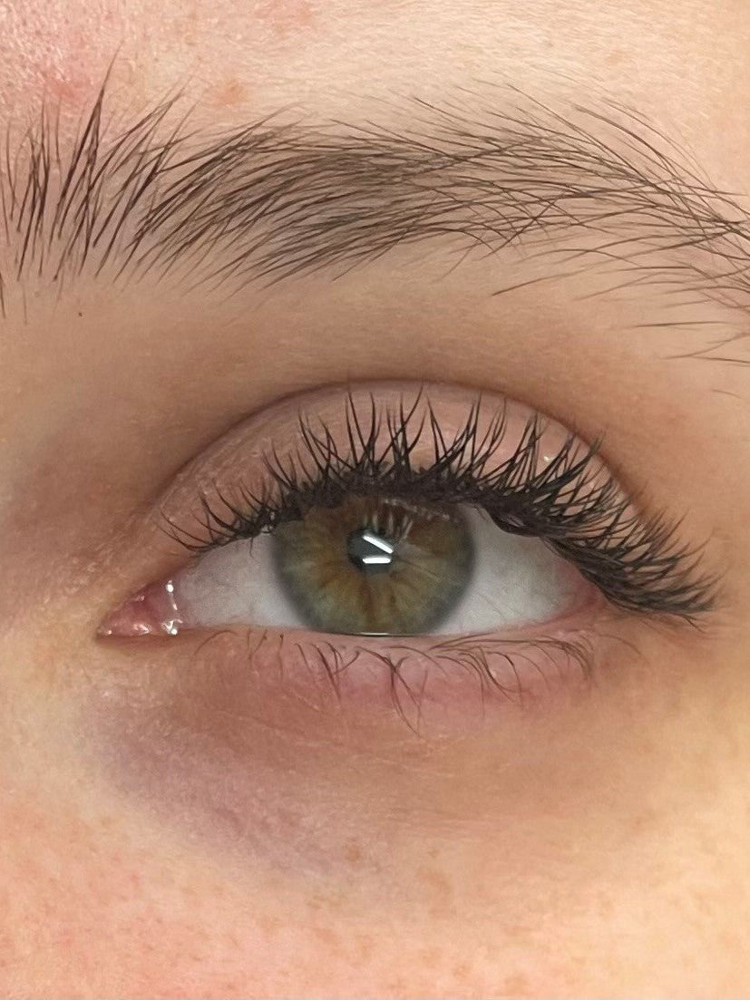 ladybuglashes lashglue lashtrays lashadhesive glueretention cloverlashes wlashes yylashes premades promades lashes