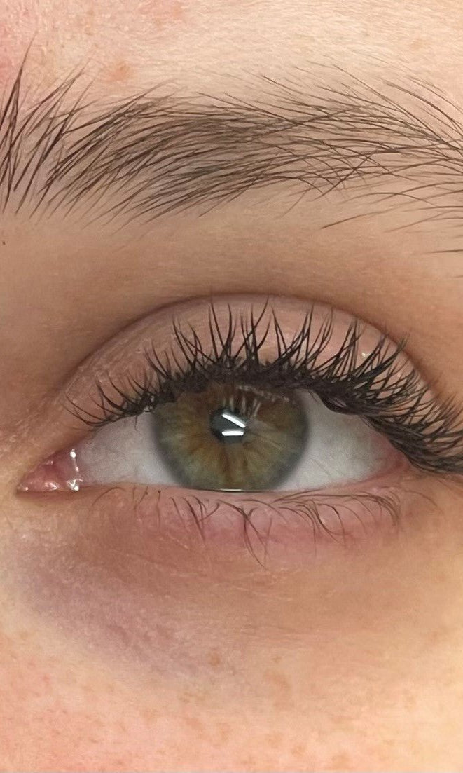 ladybuglashes lashglue lashtrays lashadhesive glueretention cloverlashes wlashes yylashes premades promades lashes