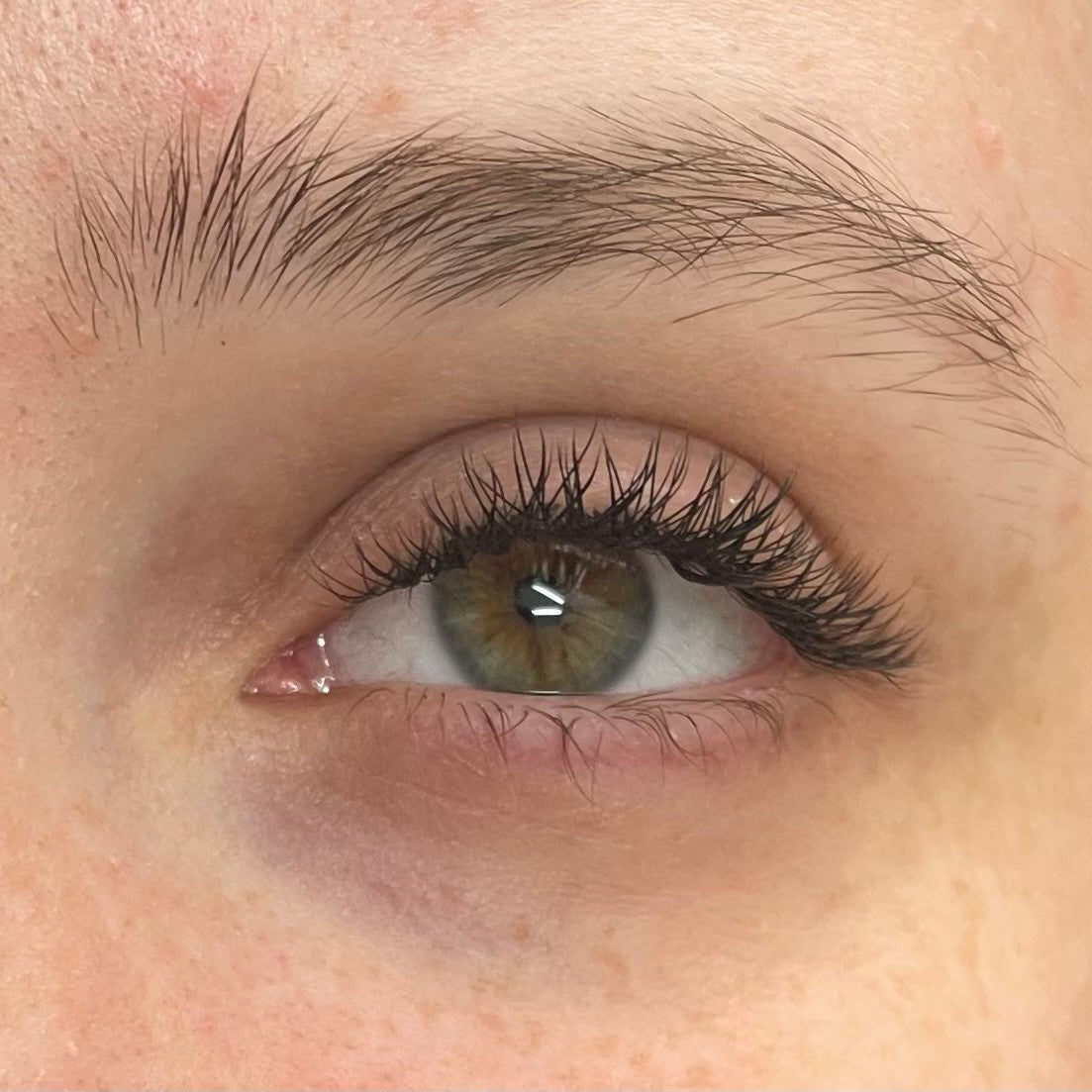 ladybuglashes lashglue lashtrays lashadhesive glueretention cloverlashes wlashes yylashes premades promades lashes