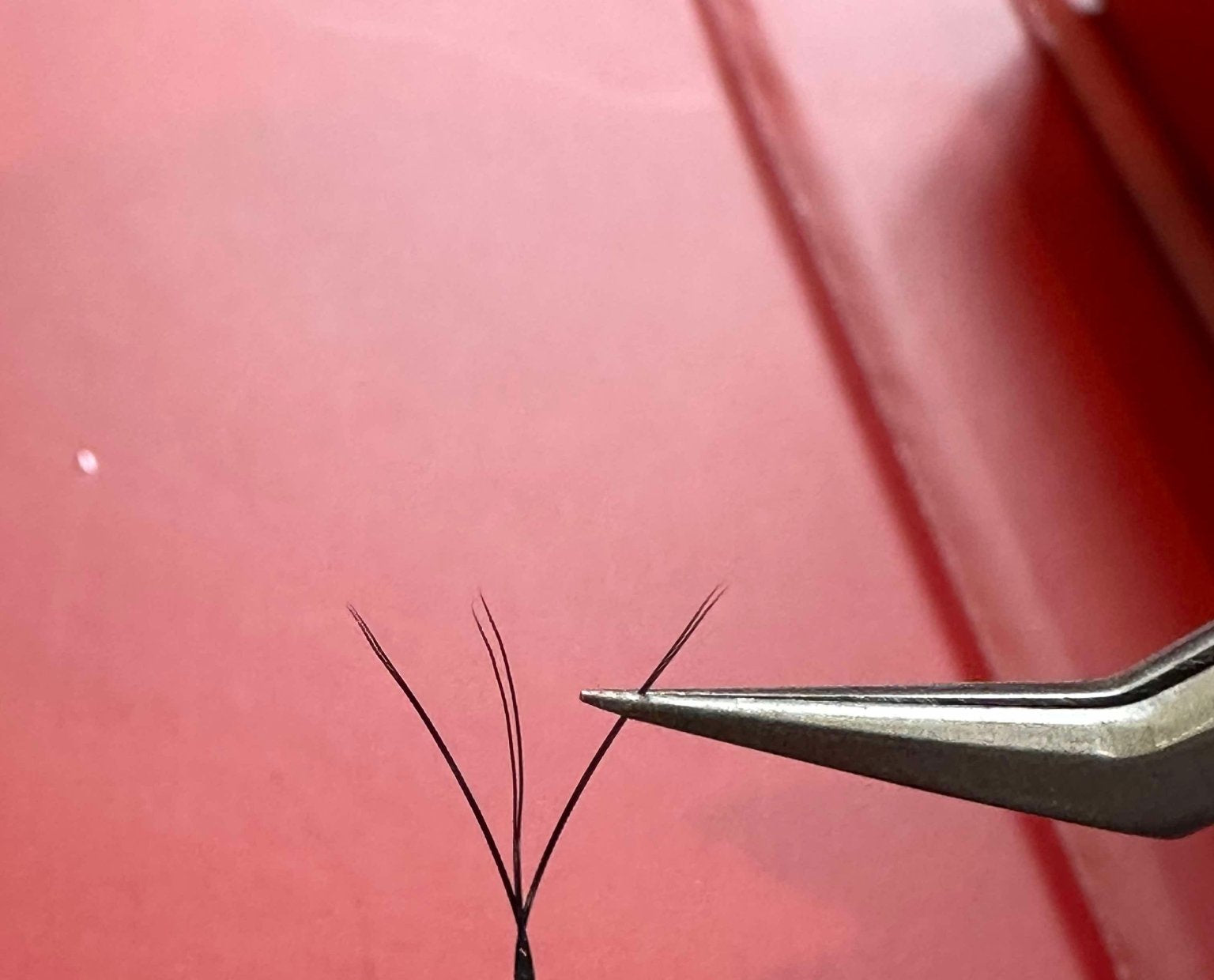 Ladybug Lashes W Lashes Mixed Tray 16 Rows