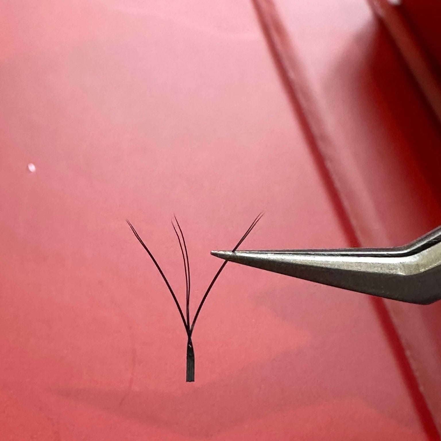 Ladybug Lashes W Lashes Mixed Tray 16 Rows