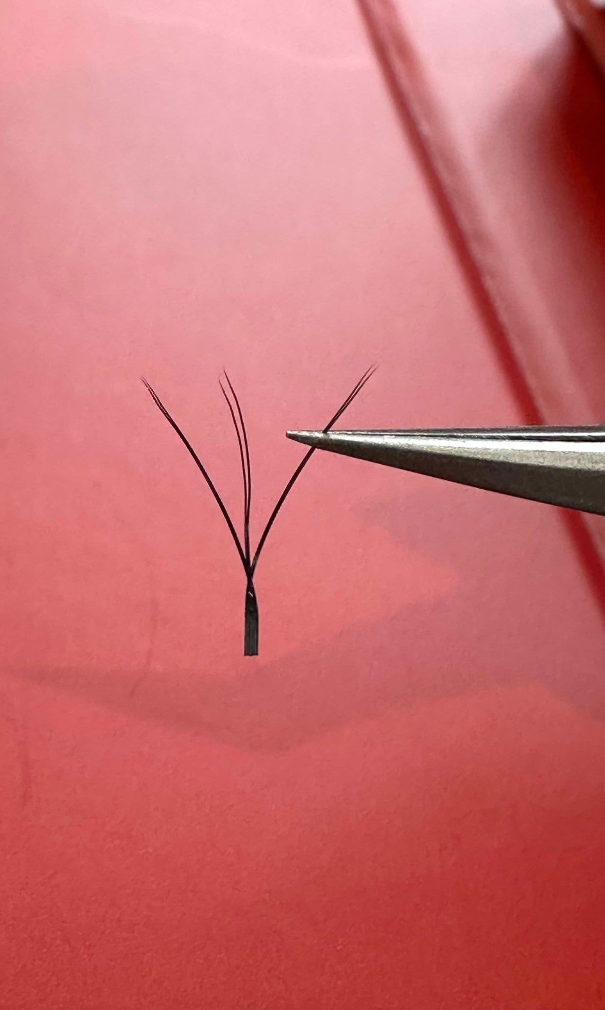 Ladybug Lashes W Lashes Mixed Tray 16 Rows