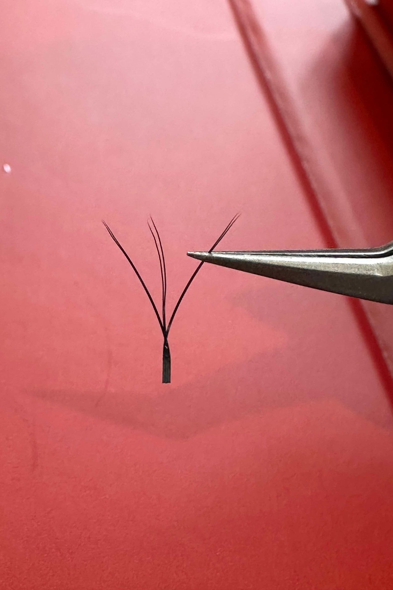 Ladybug Lashes W Lashes Mixed Tray 16 Rows