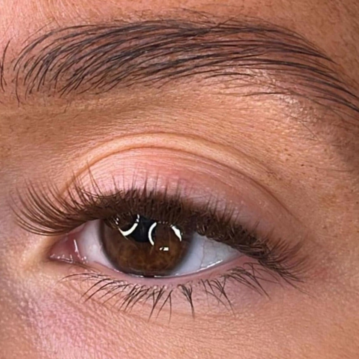 Lash Ribbons Aine Intense Brown DIY Lash Clusters – product image 3