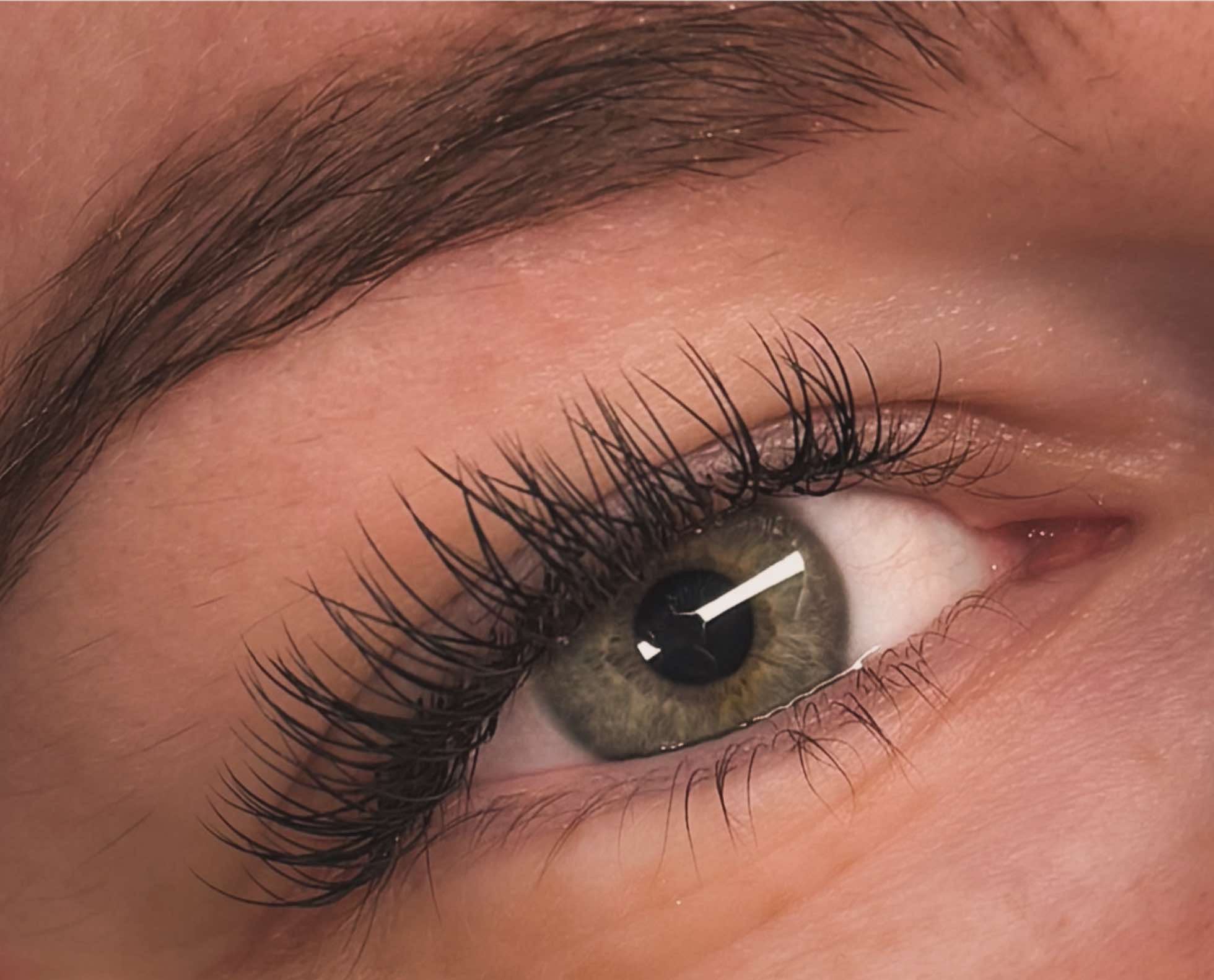 ladybuglashes lashglue lashtrays lashadhesive glueretention cloverlashes wlashes yylashes premades promades lashes