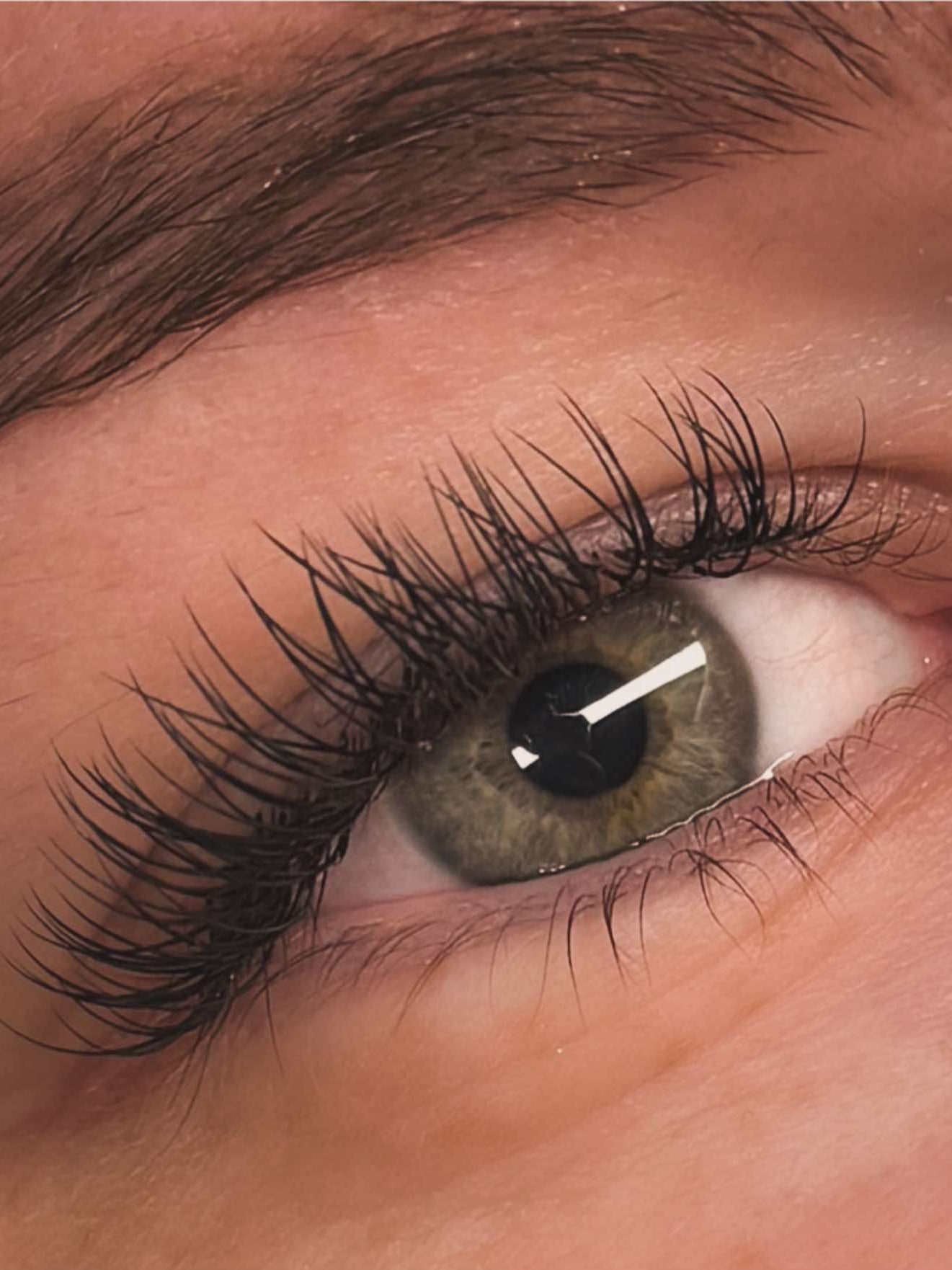 ladybuglashes lashglue lashtrays lashadhesive glueretention cloverlashes wlashes yylashes premades promades lashes