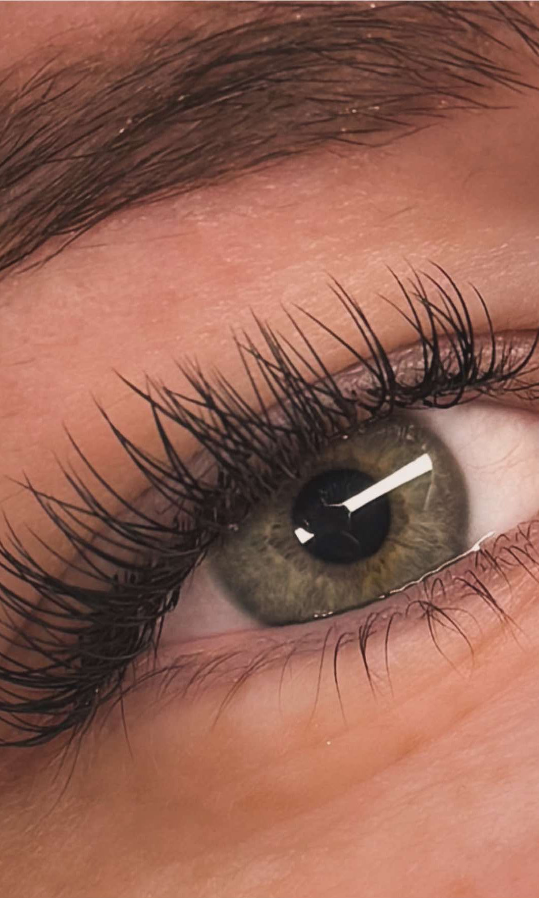 ladybuglashes lashglue lashtrays lashadhesive glueretention cloverlashes wlashes yylashes premades promades lashes