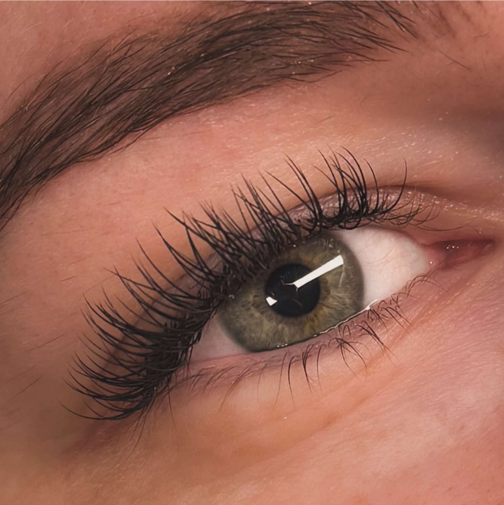 ladybuglashes lashglue lashtrays lashadhesive glueretention cloverlashes wlashes yylashes premades promades lashes