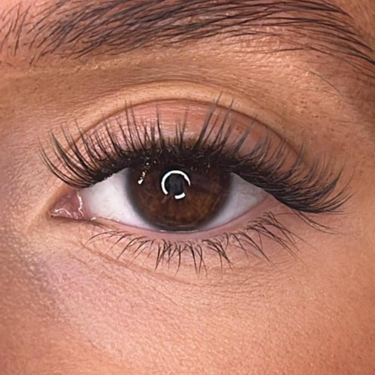 Lash Ribbons Brea - 'D' Curl – product image 2