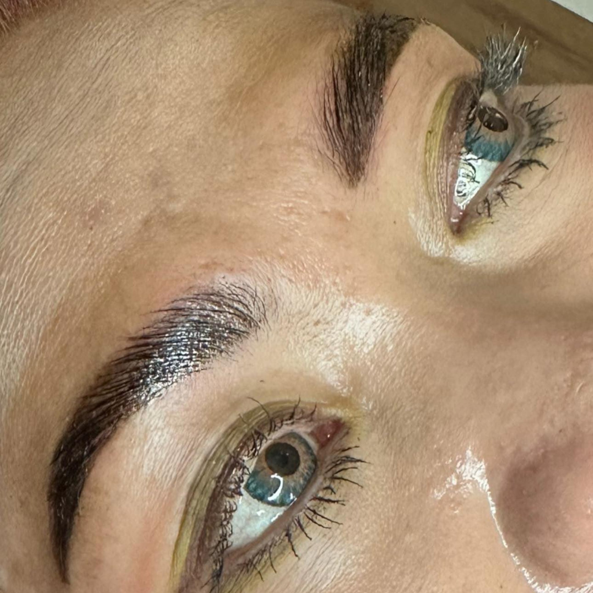 ladybuglashes lashglue lashtrays lashadhesive glueretention cloverlashes wlashes yylashes premades promades lashes