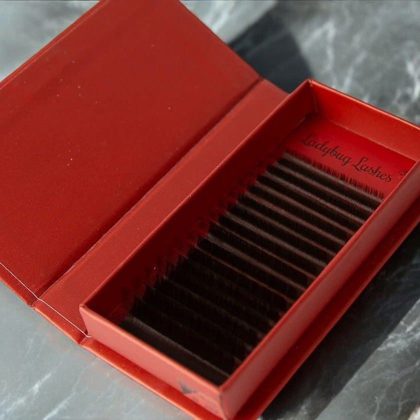 ladybuglashes lashglue lashtrays lashadhesive glueretention cloverlashes wlashes yylashes premades promades lashes