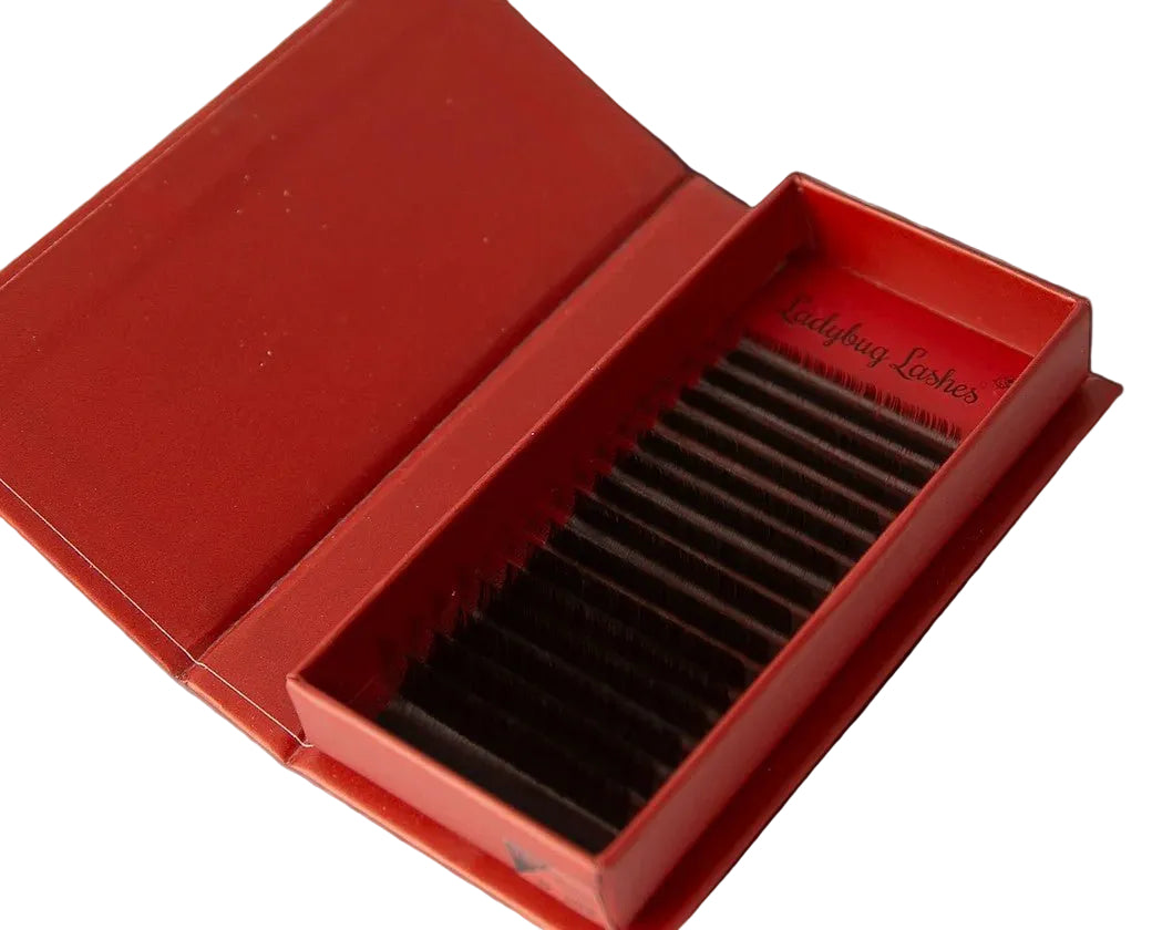 ladybuglashes lashglue lashtrays lashadhesive glueretention cloverlashes wlashes yylashes premades promades lashes