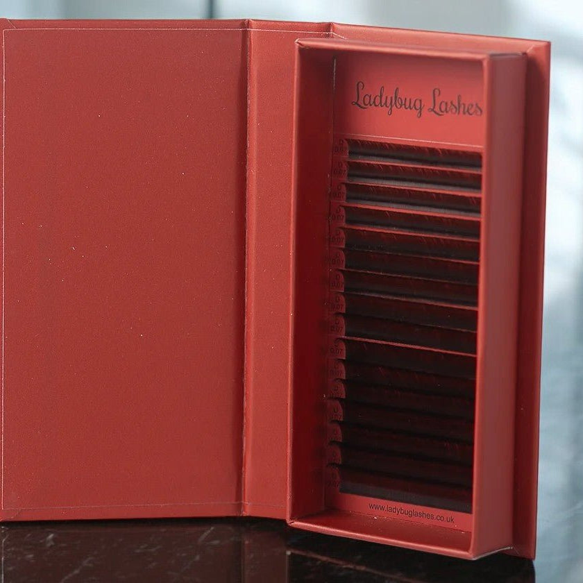 ladybuglashes lashglue lashtrays lashadhesive glueretention cloverlashes wlashes yylashes premades promades lashes