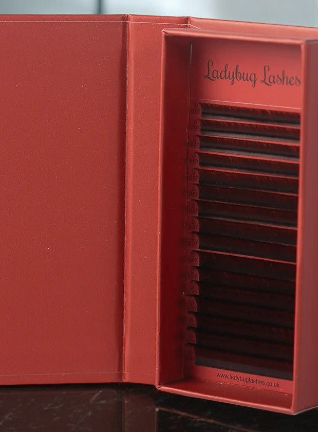 ladybuglashes lashglue lashtrays lashadhesive glueretention cloverlashes wlashes yylashes premades promades lashes