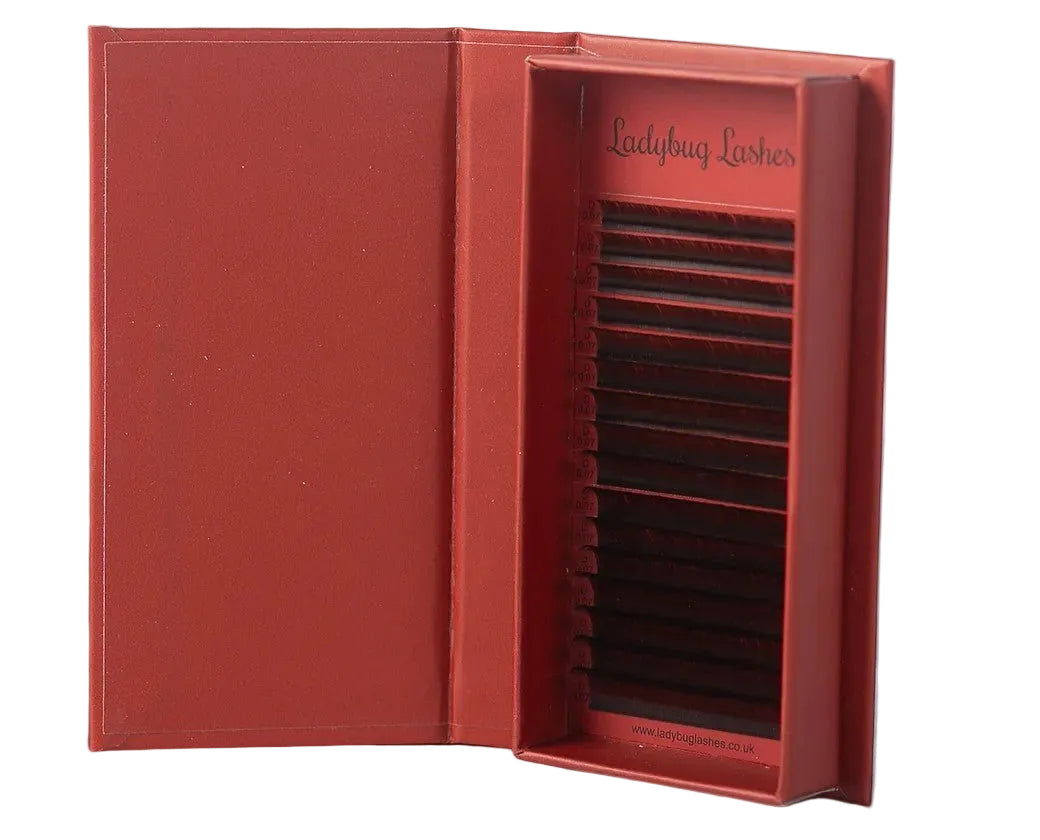 ladybuglashes lashglue lashtrays lashadhesive glueretention cloverlashes wlashes yylashes premades promades lashes