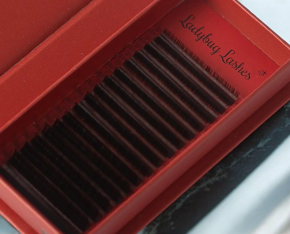 ladybuglashes lashglue lashtrays lashadhesive glueretention cloverlashes wlashes yylashes premades promades lashes