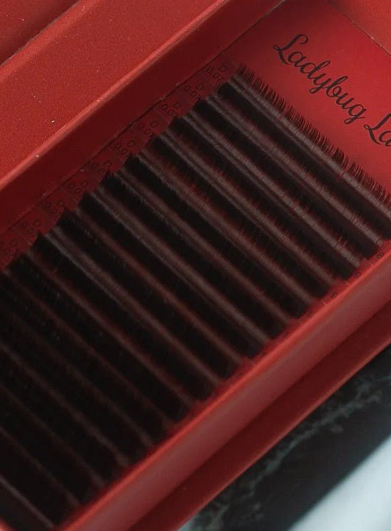 ladybuglashes lashglue lashtrays lashadhesive glueretention cloverlashes wlashes yylashes premades promades lashes