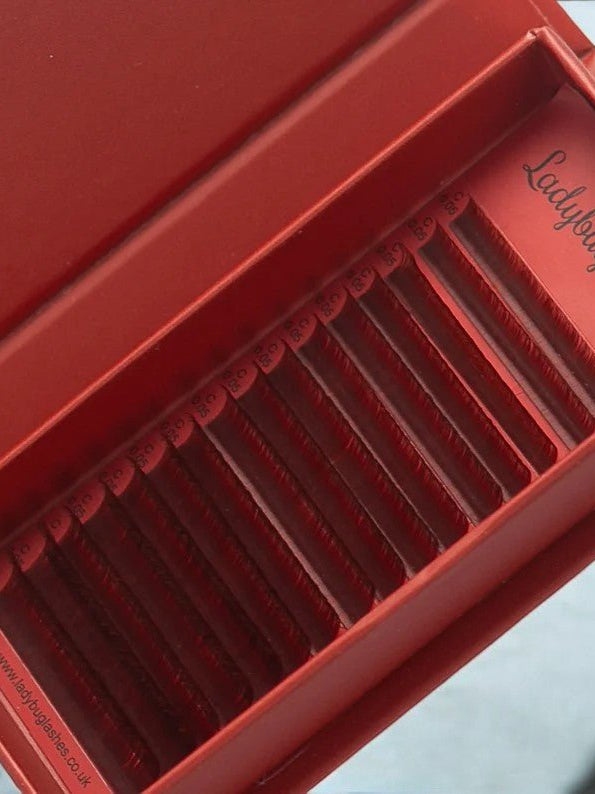 ladybuglashes lashglue lashtrays lashadhesive glueretention cloverlashes wlashes yylashes premades promades lashes