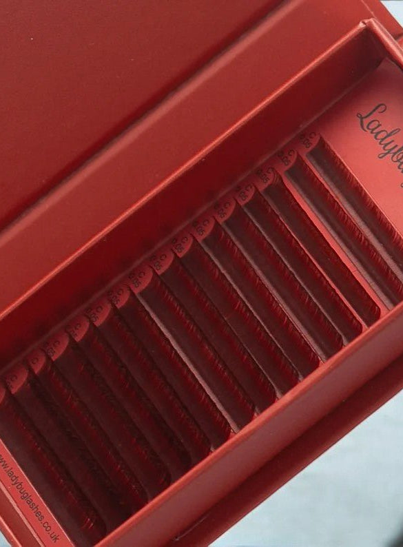 ladybuglashes lashglue lashtrays lashadhesive glueretention cloverlashes wlashes yylashes premades promades lashes