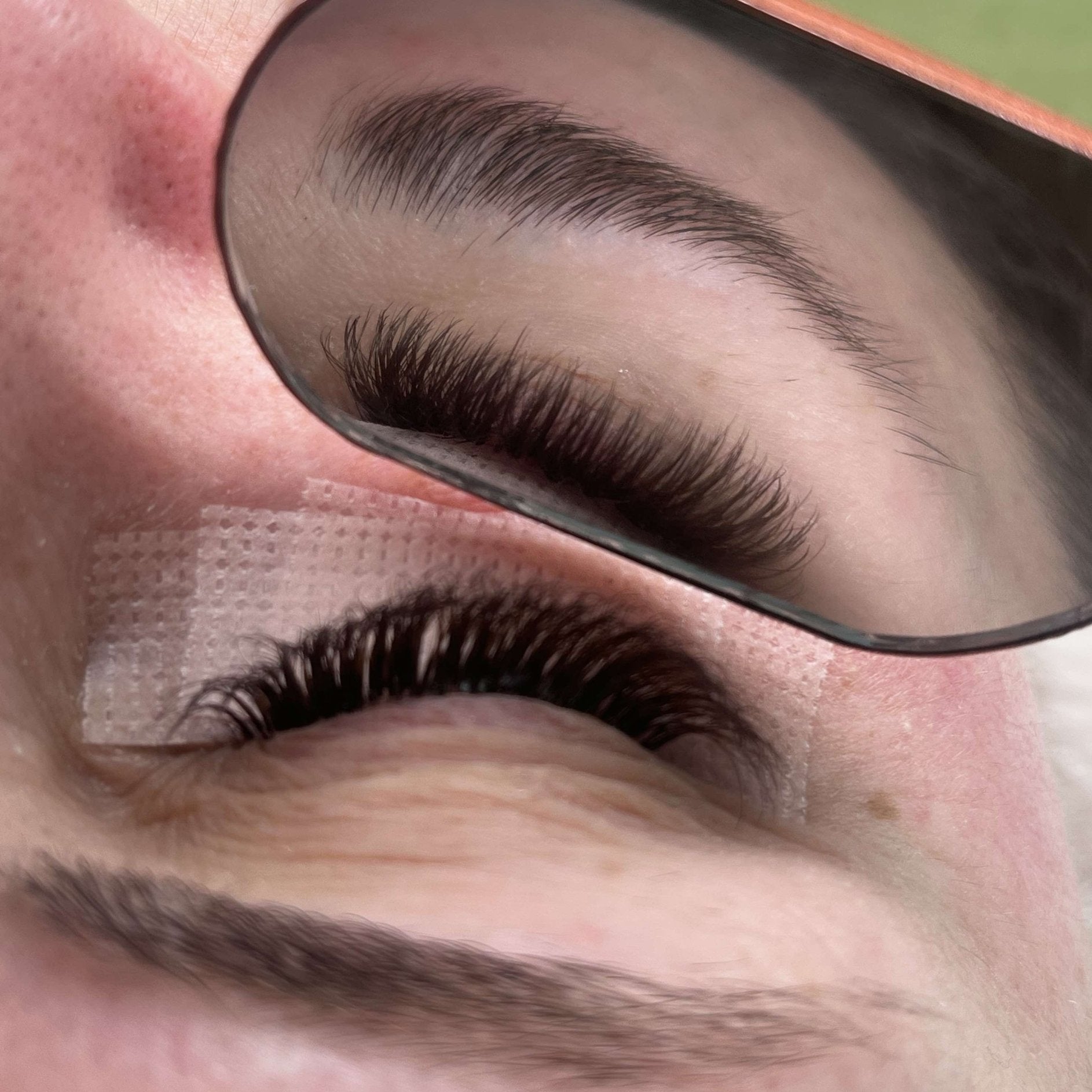 ladybuglashes lashglue lashtrays lashadhesive glueretention cloverlashes wlashes yylashes premades promades lashes