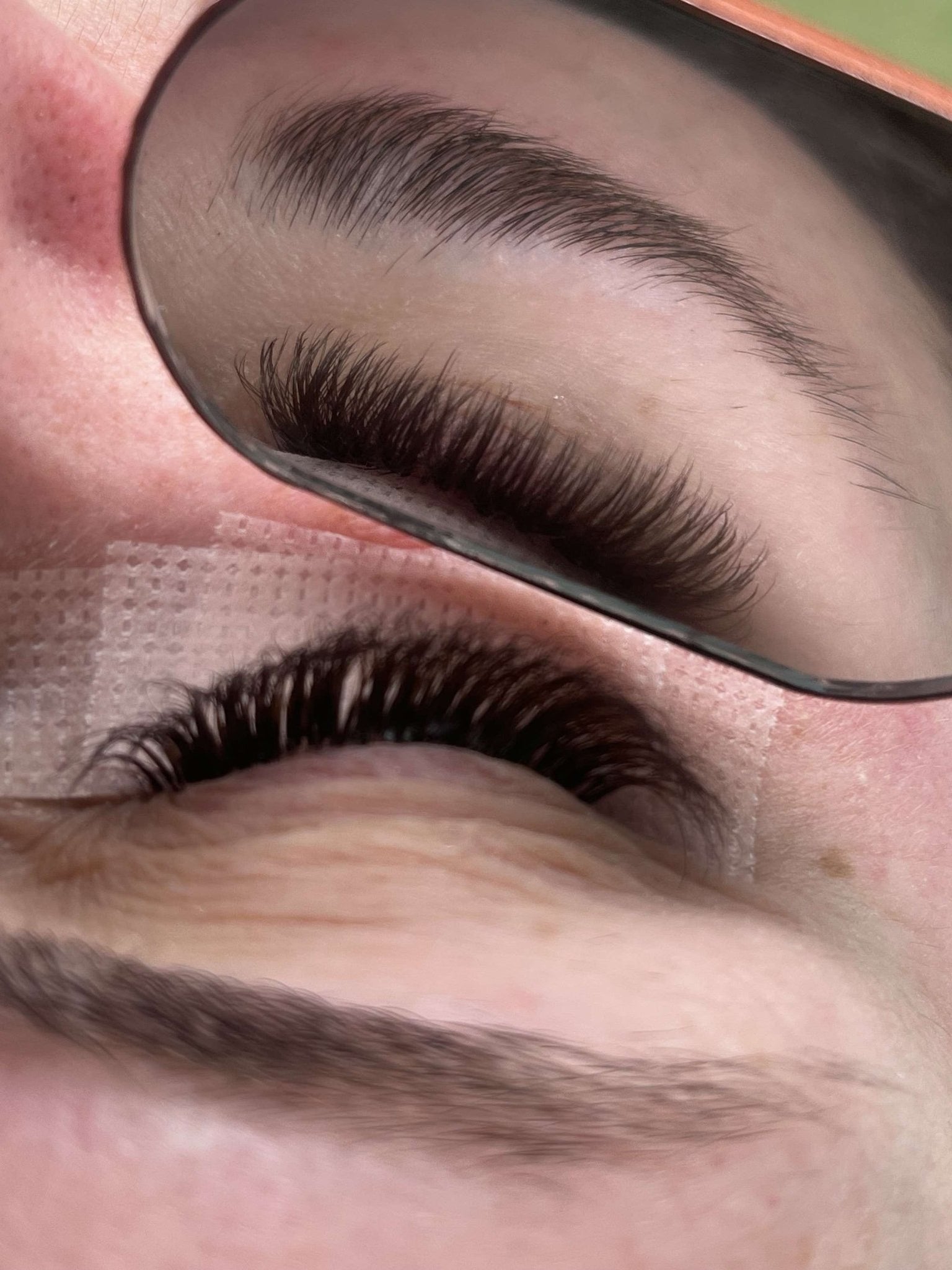 ladybuglashes lashglue lashtrays lashadhesive glueretention cloverlashes wlashes yylashes premades promades lashes