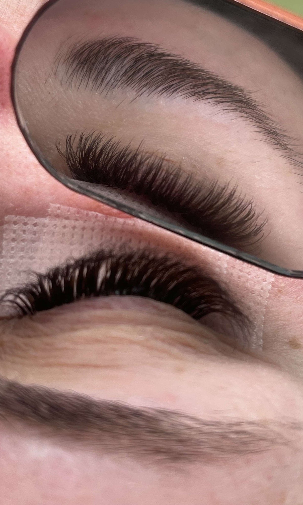 ladybuglashes lashglue lashtrays lashadhesive glueretention cloverlashes wlashes yylashes premades promades lashes