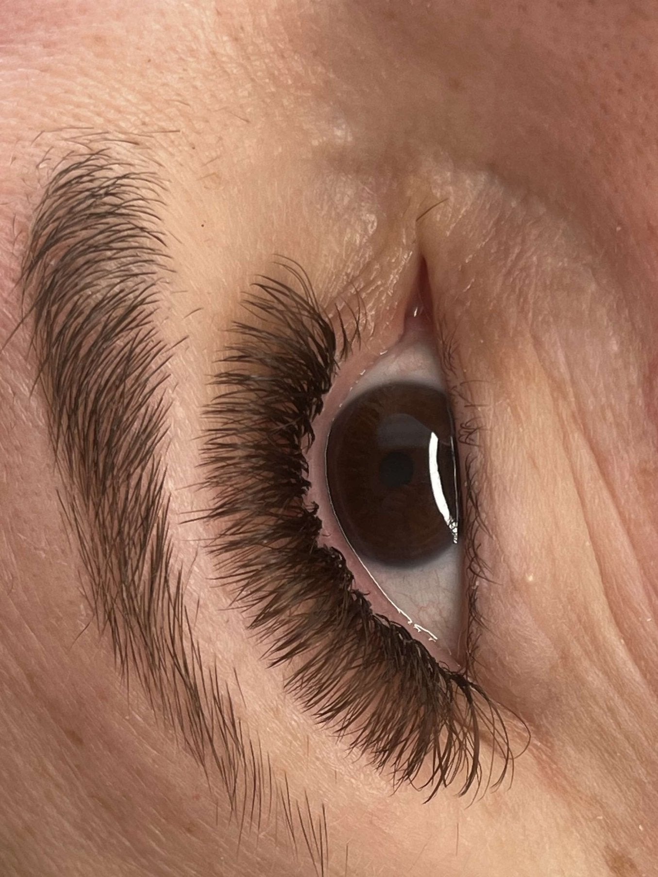 ladybuglashes lashglue lashtrays lashadhesive glueretention cloverlashes wlashes yylashes premades promades lashes