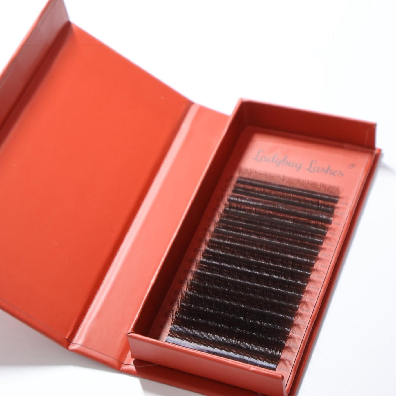 ladybuglashes lashglue lashtrays lashadhesive glueretention cloverlashes wlashes yylashes premades promades lashes