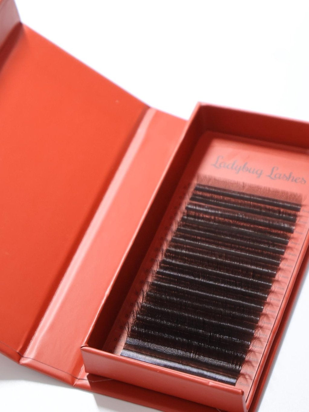 ladybuglashes lashglue lashtrays lashadhesive glueretention cloverlashes wlashes yylashes premades promades lashes