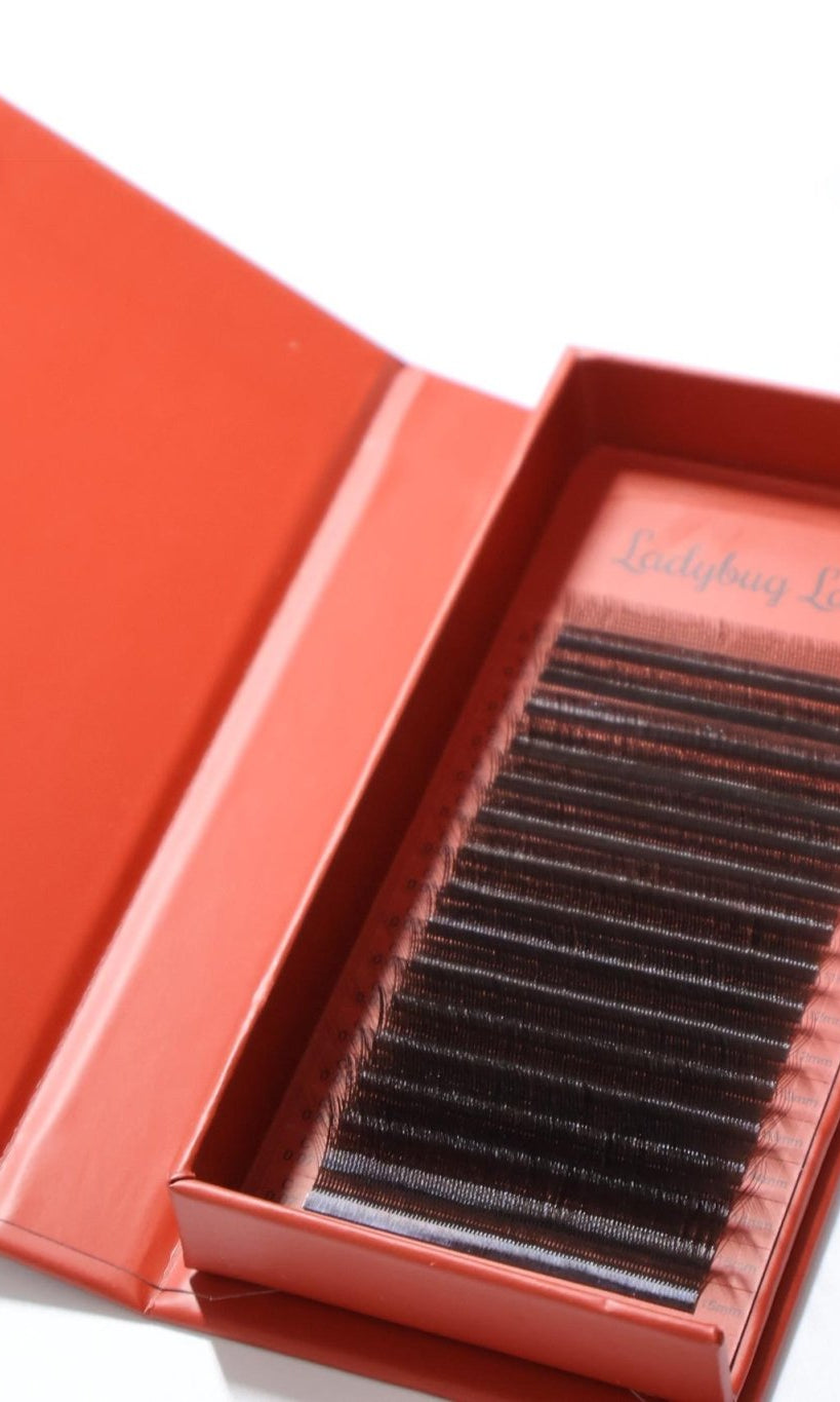 ladybuglashes lashglue lashtrays lashadhesive glueretention cloverlashes wlashes yylashes premades promades lashes