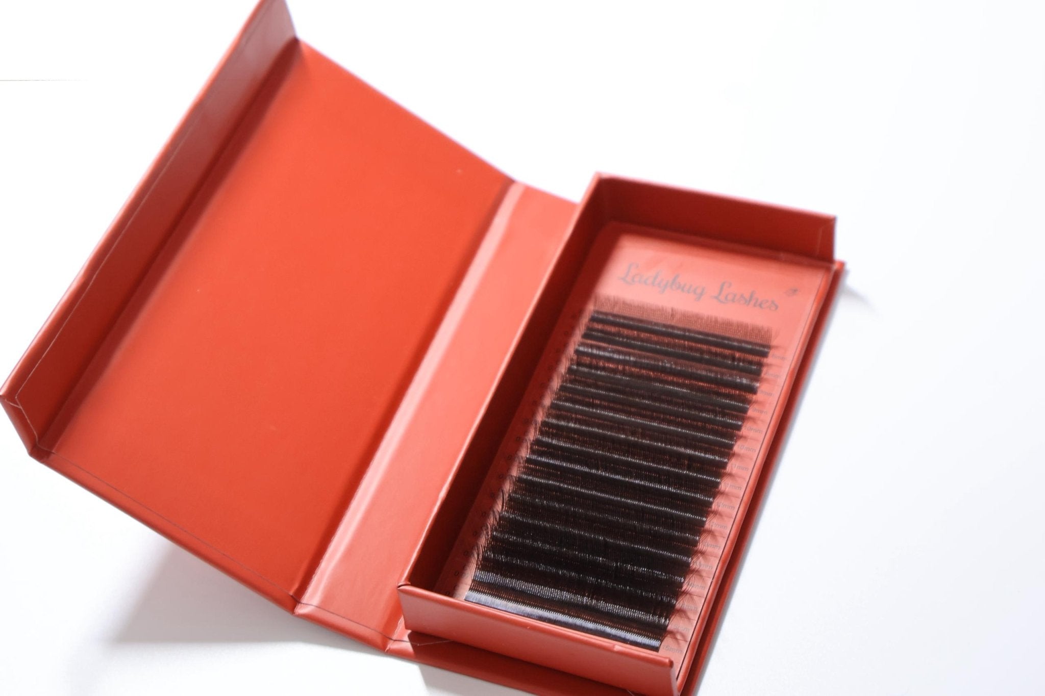 ladybuglashes lashglue lashtrays lashadhesive glueretention cloverlashes wlashes yylashes premades promades lashes