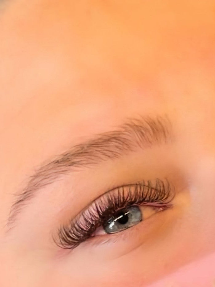 ladybuglashes lashglue lashtrays lashadhesive glueretention cloverlashes wlashes yylashes premades promades lashes