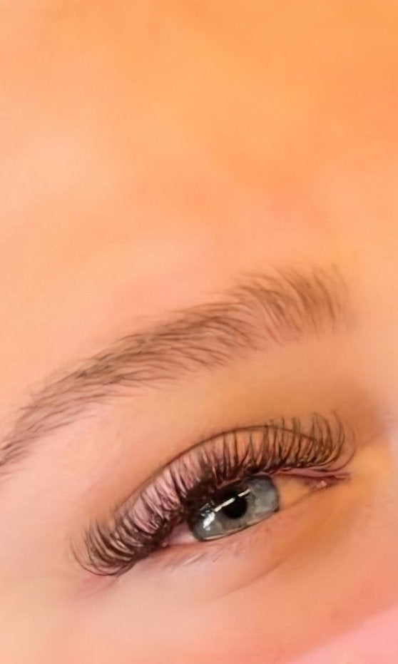 ladybuglashes lashglue lashtrays lashadhesive glueretention cloverlashes wlashes yylashes premades promades lashes