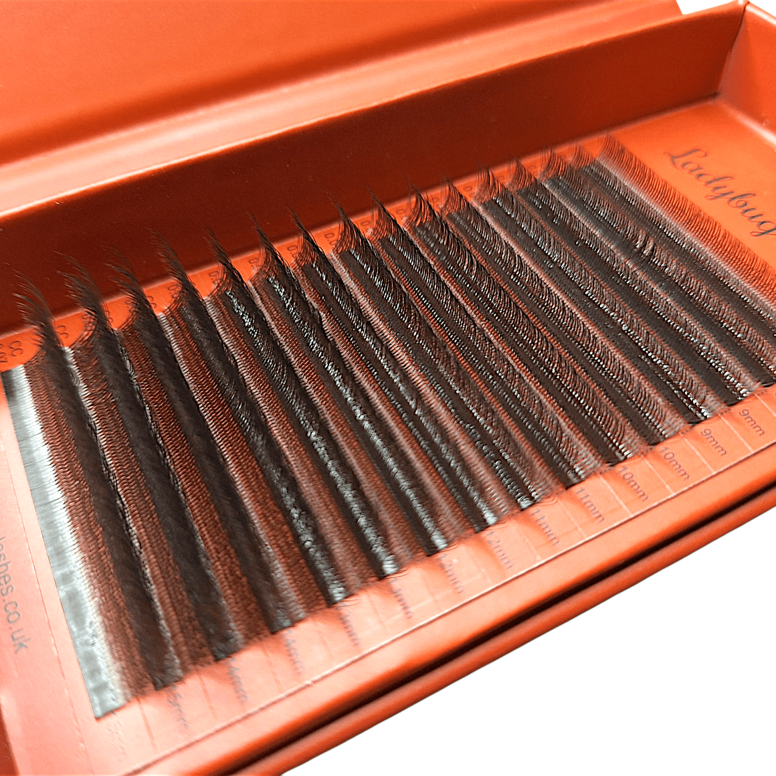 ladybuglashes lashglue lashtrays lashadhesive glueretention cloverlashes wlashes yylashes premades promades lashes