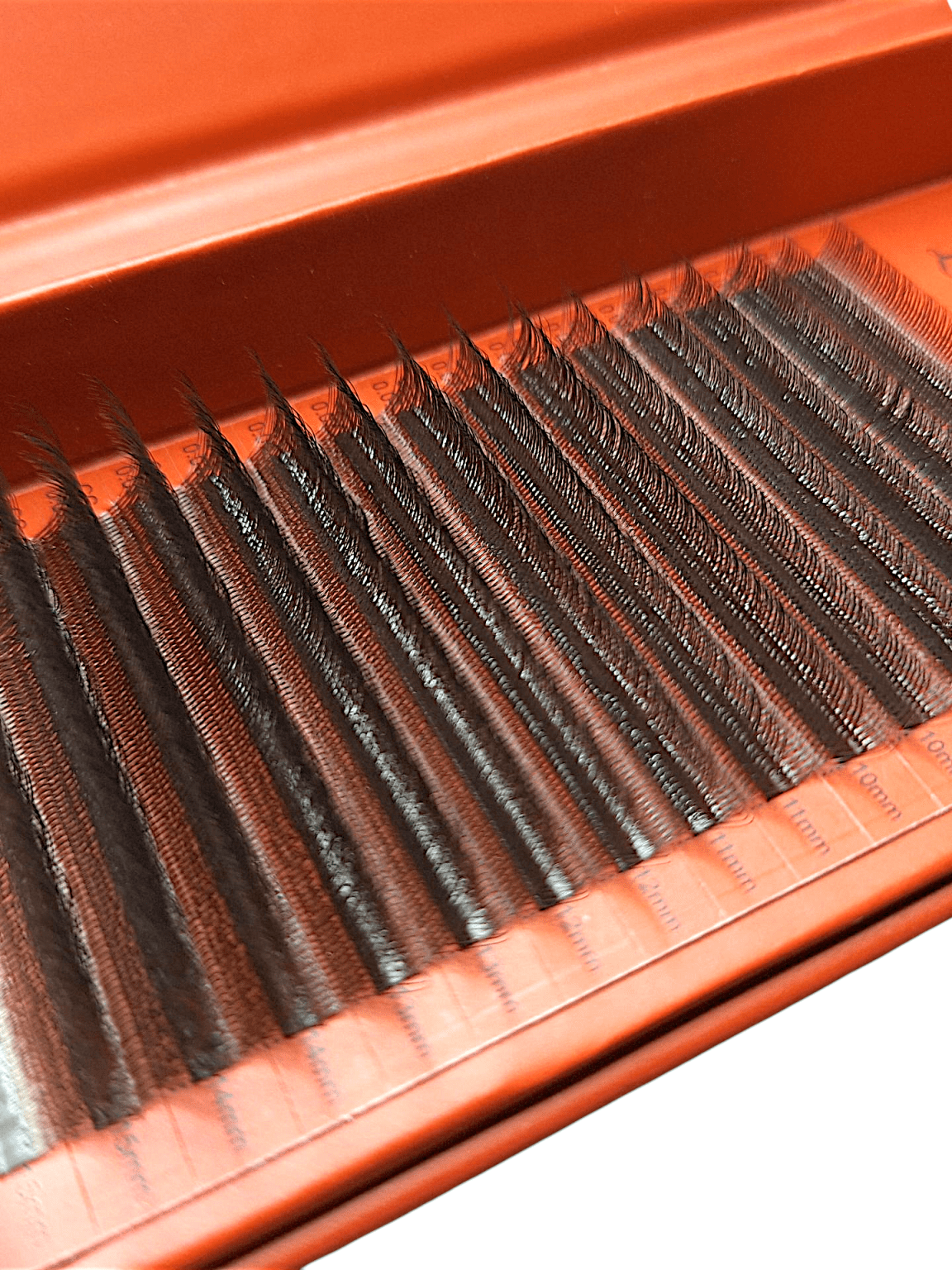 ladybuglashes lashglue lashtrays lashadhesive glueretention cloverlashes wlashes yylashes premades promades lashes