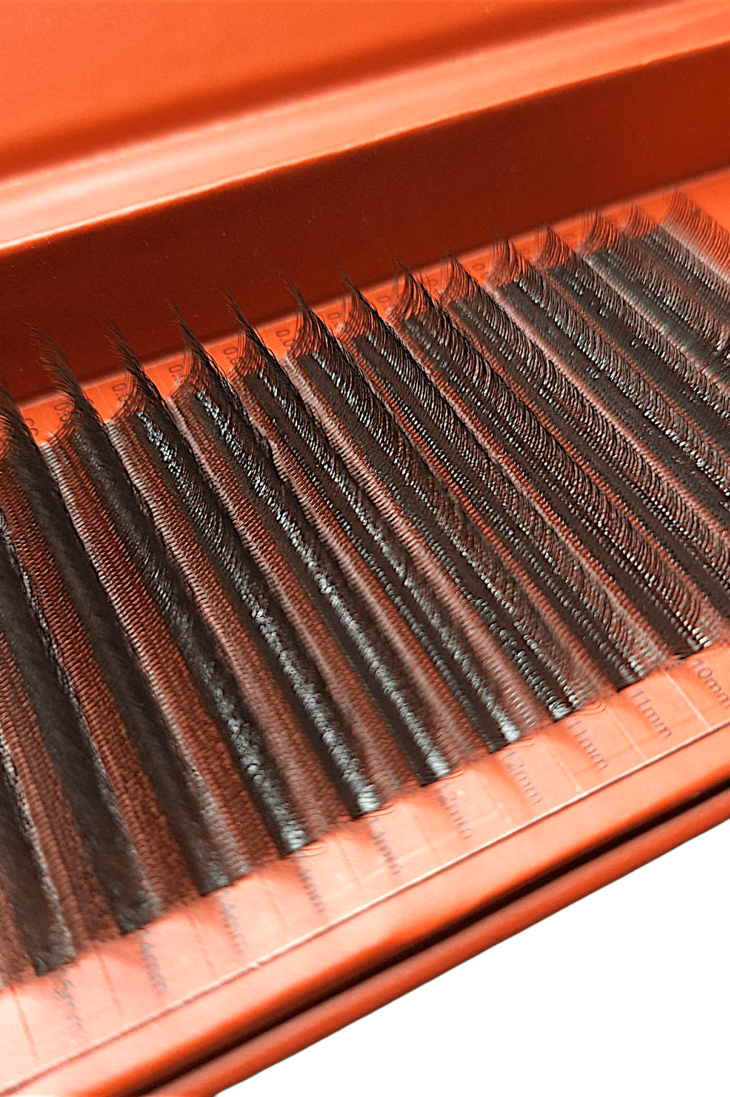 ladybuglashes lashglue lashtrays lashadhesive glueretention cloverlashes wlashes yylashes premades promades lashes