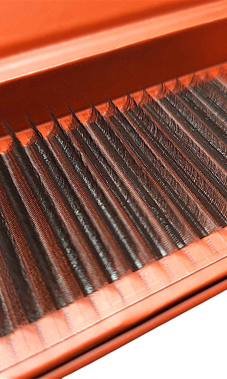 ladybuglashes lashglue lashtrays lashadhesive glueretention cloverlashes wlashes yylashes premades promades lashes