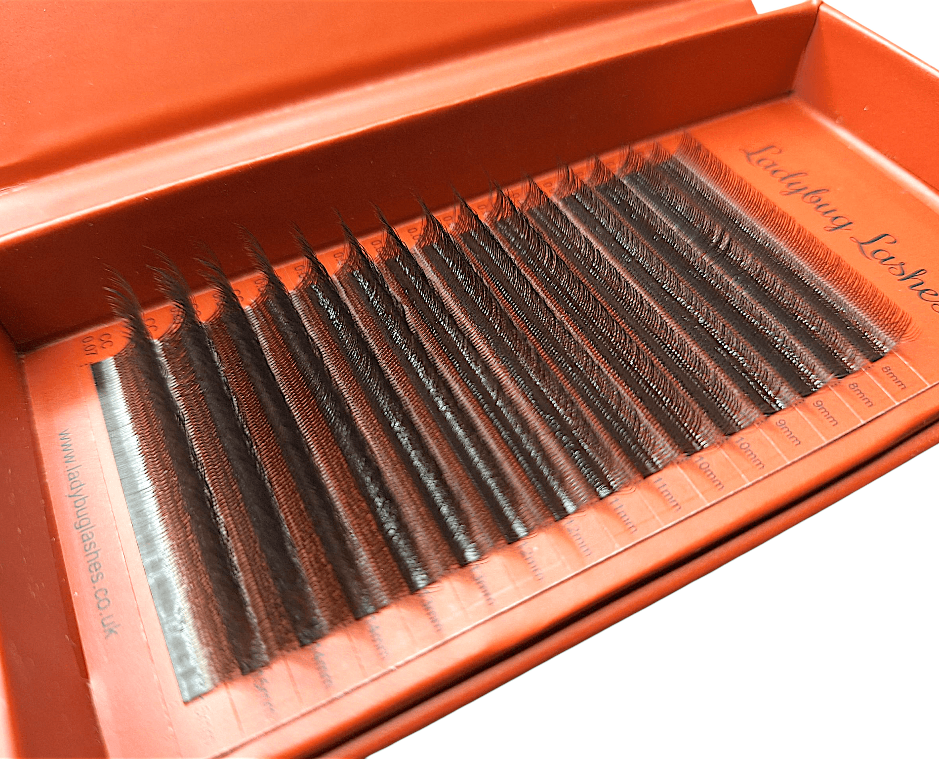 ladybuglashes lashglue lashtrays lashadhesive glueretention cloverlashes wlashes yylashes premades promades lashes