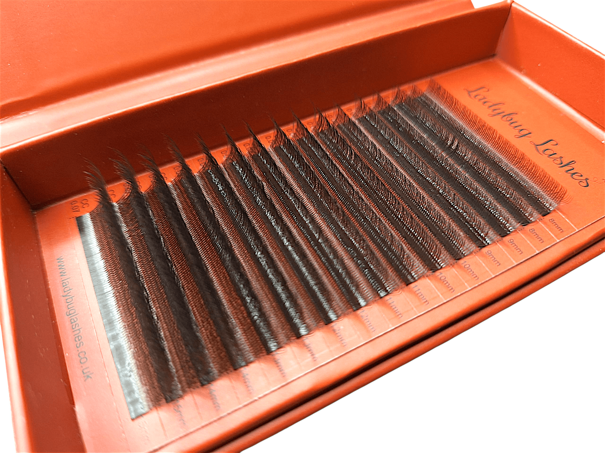 ladybuglashes lashglue lashtrays lashadhesive glueretention cloverlashes wlashes yylashes premades promades lashes