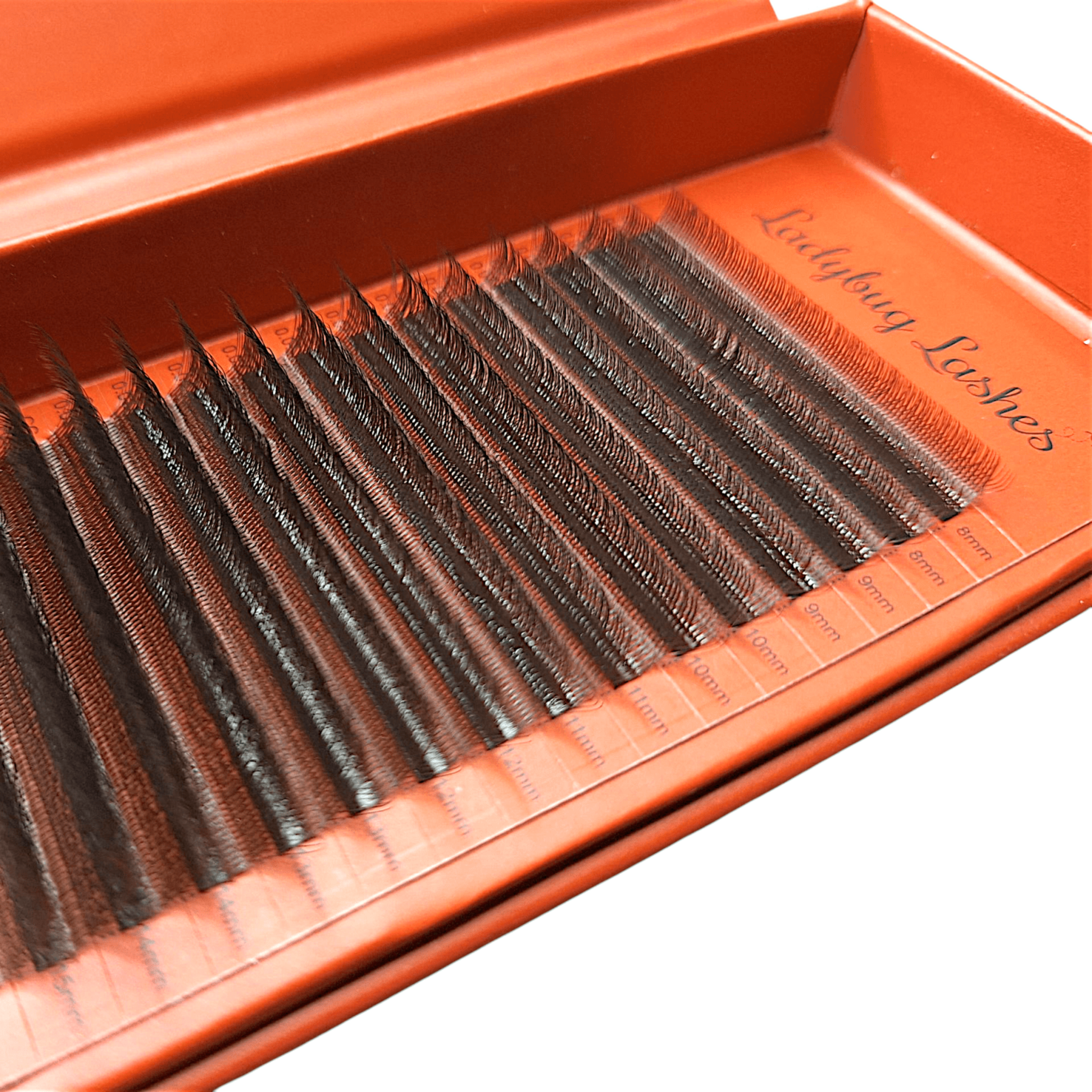 ladybuglashes lashglue lashtrays lashadhesive glueretention cloverlashes wlashes yylashes premades promades lashes
