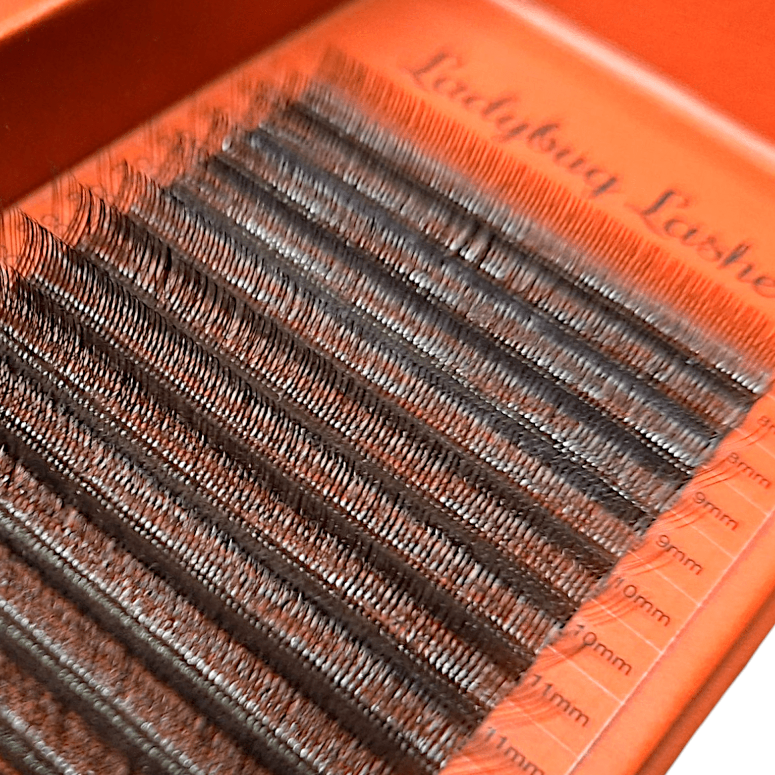 ladybuglashes lashglue lashtrays lashadhesive glueretention cloverlashes wlashes yylashes premades promades lashes