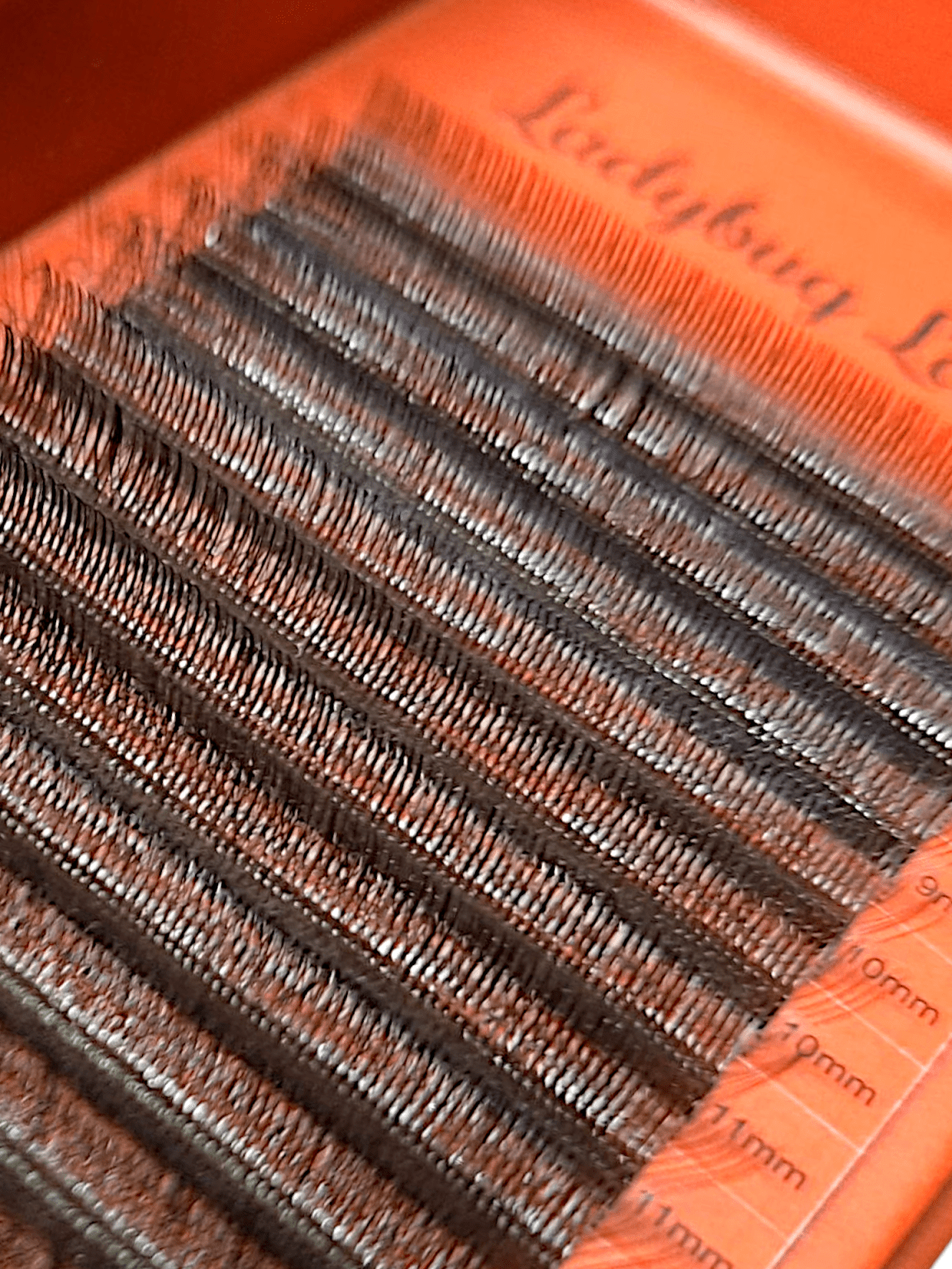 ladybuglashes lashglue lashtrays lashadhesive glueretention cloverlashes wlashes yylashes premades promades lashes