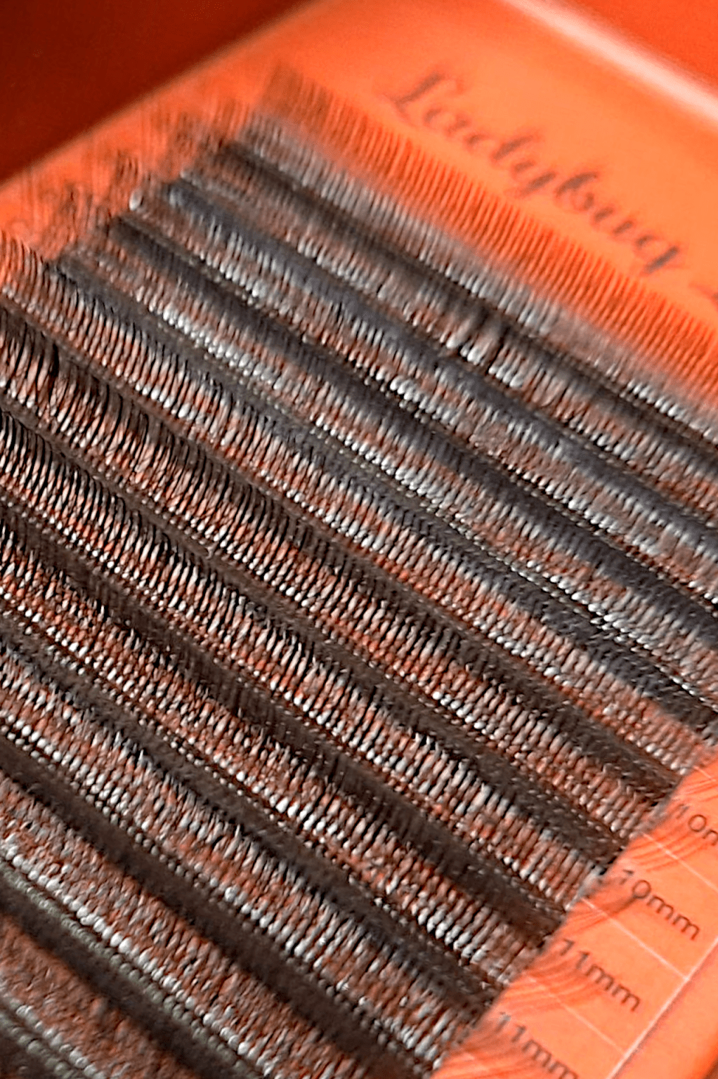 ladybuglashes lashglue lashtrays lashadhesive glueretention cloverlashes wlashes yylashes premades promades lashes