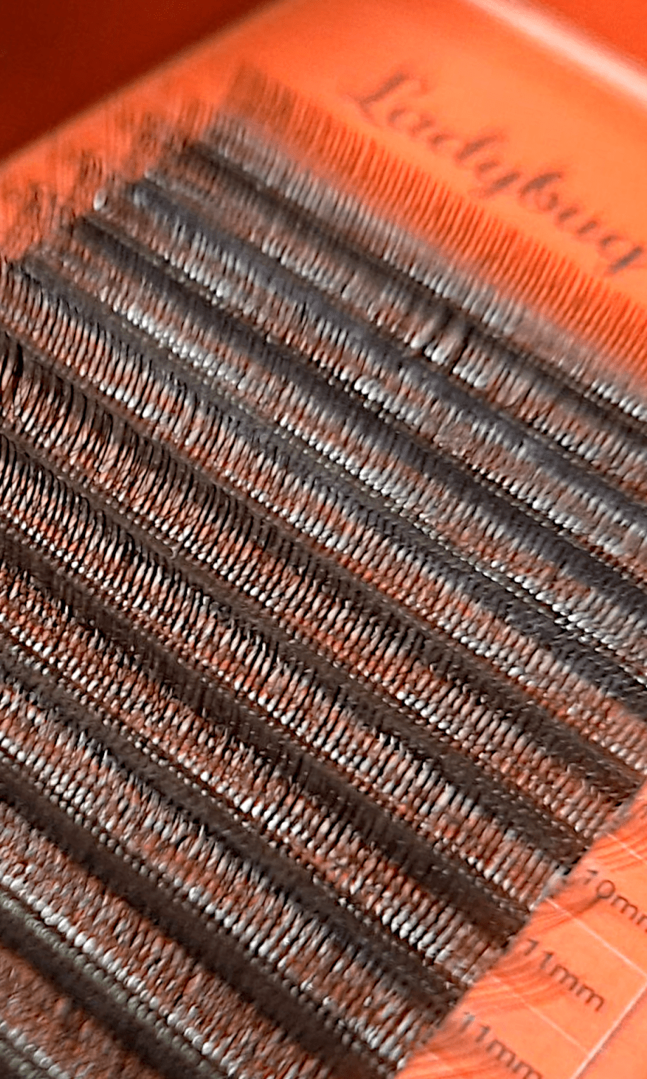 ladybuglashes lashglue lashtrays lashadhesive glueretention cloverlashes wlashes yylashes premades promades lashes